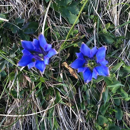 Apartman Hislar's Hues Oberstdorf