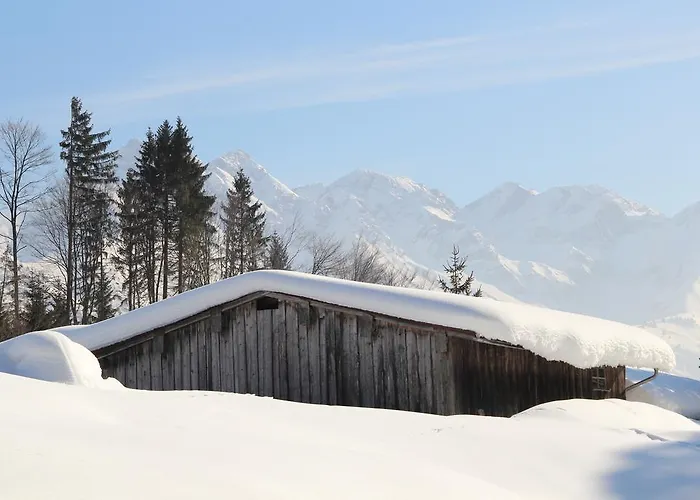 아파트 Hislar's Hues